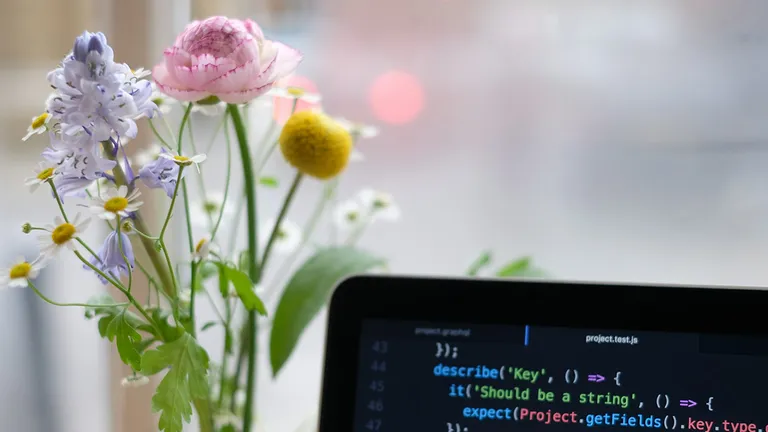 相続放棄は年間30万件超｜親の負債を放棄した自分が知っておきたかったデータ